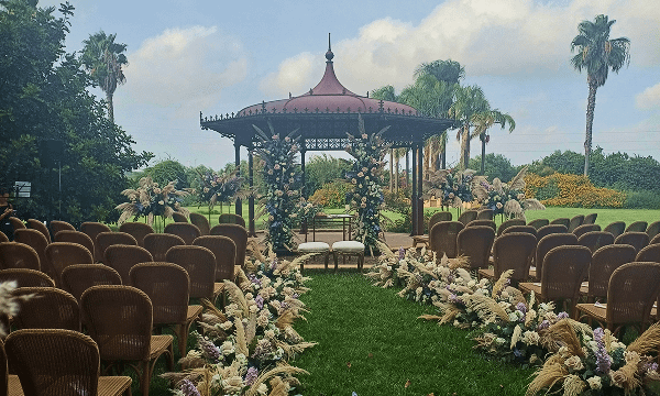 Wedding